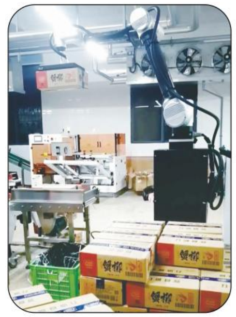 Robot di Pallettizzazione Collaborativo Ai-RMD30 (≤9 Cartoni/Min) – Soluzione di Pallettizzazione Intelligente e Flessibile per Scenari Multipli