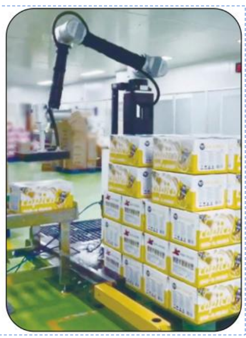 Robot di Pallettizzazione Collaborativo Ai-RMD30 (≤9 Cartoni/Min) – Soluzione di Pallettizzazione Intelligente e Flessibile per Scenari Multipli
